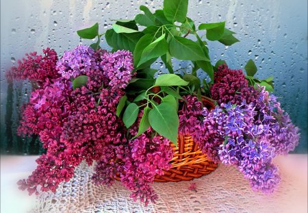 Rainy day - pretty, window, lilac, leaves, flowers, rain, nice, delicate, beautiful, table, drops, lovely, still life, harmony, basket, colorful, day