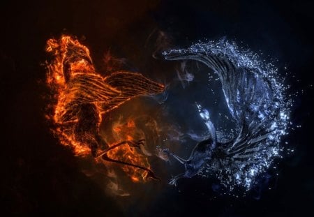 Bird of Fire & Water - cg, fight, water, fire