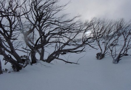 PERISHER SNOW FIELD, AUSTRALIA