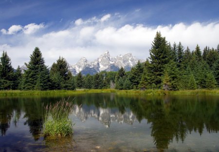 Lake at the Dolomites - forest, water, grass, blue, lake, sky, reflection, clouds, trees, nature, mountain, day, green