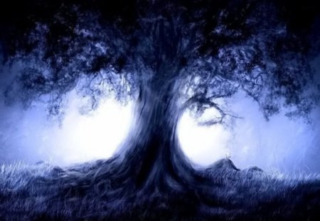 Night at forests - abstract, forests, nature, plants, night, art, tree