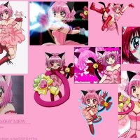 Tokyo Mew Mew-Ichigo Momomiya