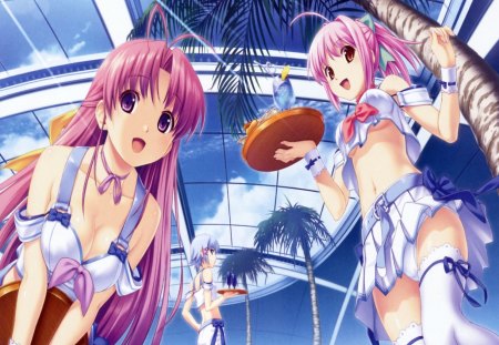 Tropical Kiss Squad - beauty, game, girl, wall, tropical kiss, squad, new