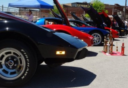 Vettes - corvettes, vette, vettes, corvette