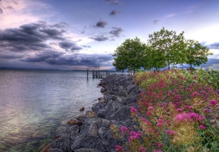 Ocean Flower Shore - sky, ocean, trees, day, water, shore, nature, purple, pink, clouds, rock, flowers, grass