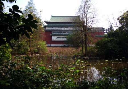 Taipei Botanical Garden - alch, castle, liuchia, water, green, tree