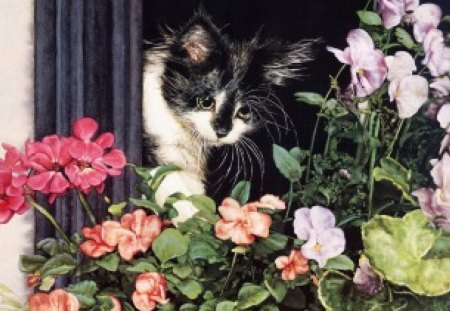 FLOWER CHILD - artworks, paintings, window, babies, flowers, kittens, garden, cats, animals