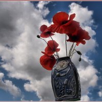 POPPIES IN POPPY VASE