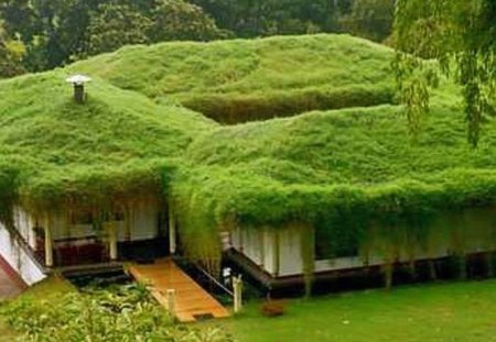 going green - different, green, goinggreen, house