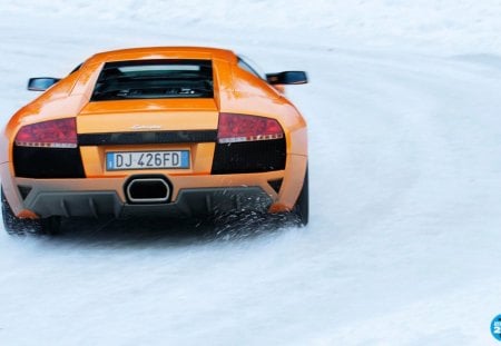 Lamborghini - gallarado, lamborghini, costly, car