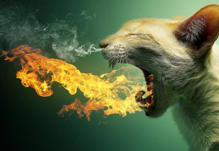 Flaming Cat - mouth, flames, smoke, cat