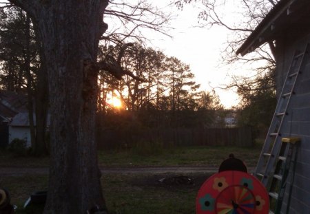 Backyard Sunrise - sky, sunrise, trees, sun