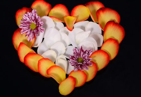 Heart of petals - love, nice, delicate, heart, colorful, lovely, pretty, floral, petals, flowers