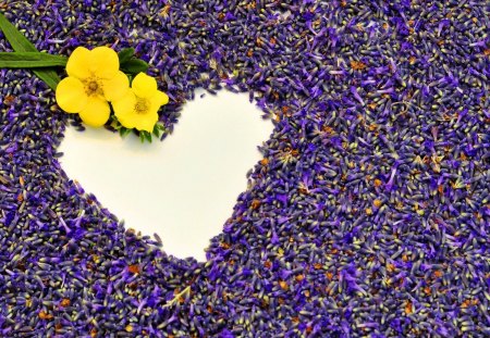 Void in shape of heart - pretty, heart, shape, yellow, lavender, beautiful, lovely, love, flowers, void, purple, nice