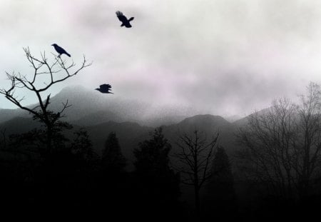 Ravens Rest - birds, dark, misty, mist, sky, winter, fog, haunting, gothic, tree, ravens, fall, goth, autumn, cold, mountains, mysterious