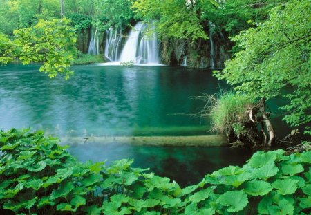 Behold Nature. - a, gentle, waterfall, in