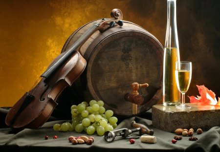 Wine - graper, bottle, nuts, bottle of wine, violin, beautiful, photography, beauty, lovely, still life, wine, glasses, barrel, fruits, glass