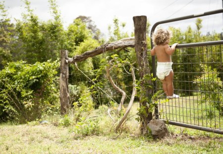 Curiosity Baby - diaper, baby, gate, curiosity