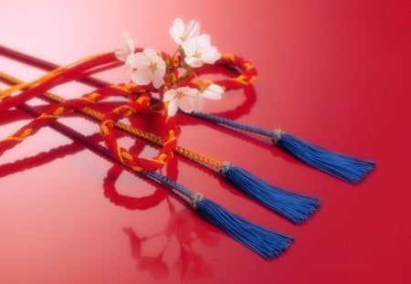 Braid and cord - flowers, braid, cord, red