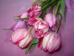 Bouquet of pink tulips