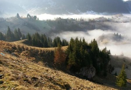 Cetatea Oratea Judetul Arges - toa, ceat, munte, nature