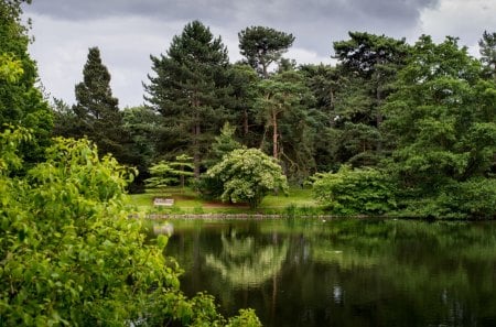 A beautiful place - bench, trees, forest, pond