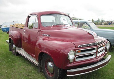 1955 Studebaker truck - truck, black, tire, red, green, photography, grass