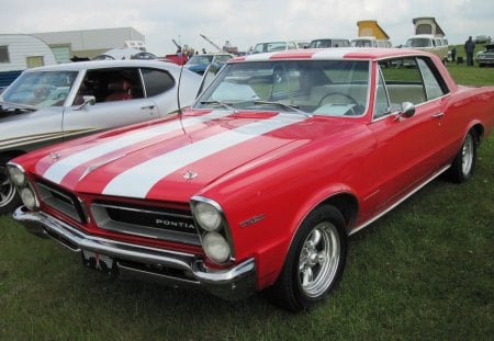 Pontiac in the car show - black, white, car, tire, red, photography, pontiac, gm