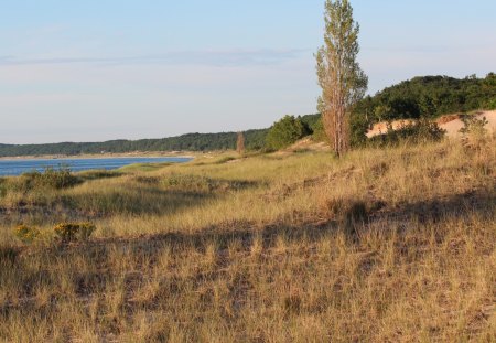 Grassy field next to a lake - lake, field, blue, grassy