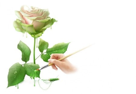 I paint you a fine rose - sewing, paint, white, rose, vector, cool