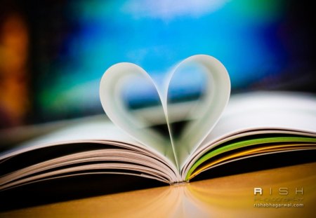 Love Book - love, book, abstract, pages