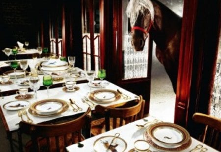 Whats for dinner - fun, dinner, table, horse