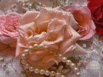 Roses and Pearls