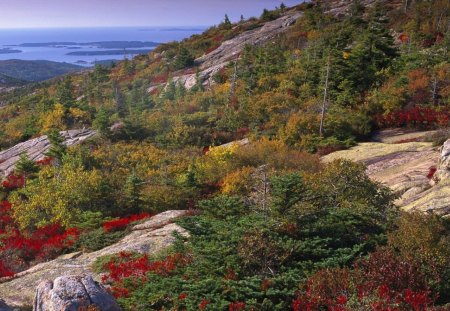 the view - hill, sky, trees, red, cliff, blue, greens, rocks