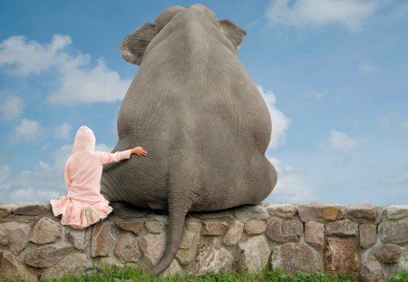 IT will be okey again my friend - best friends, girl, elephant, cute