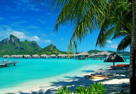 Hawaii - sky, ocean, beach, trees, palms, hawaii, huts, palm, sea, shadow