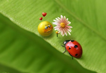 True Love :) - smile, lady bug, love, flower, hearts