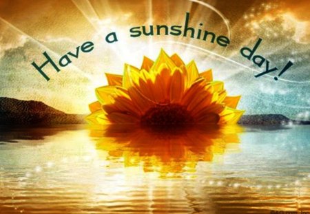 Have a sunshine day!