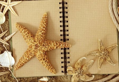 MY VACATION DIARY - starfish, beach, fishes, books, ocean, sand