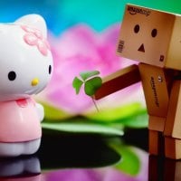 Danbo Loves Kitty