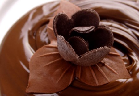 Chocolate flower - chocolate, flower, sweet, delight