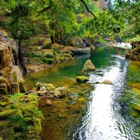 Stream among stones