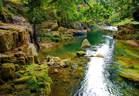 Stream among stones - summer, creek, stream, forest, reflection, leaves, emerald, sun, falling, branches, stones, fall, glow, river, nature, rays, green, rocks