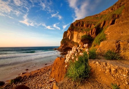 Coastal rocks - beach, sky, peaceful, water, coast, rocks, clouds, coastal, sands, ocean, summer, shore, waves, nature, beautiful, red, stones, flowers, sea