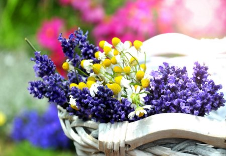 Basket of fresh flowers - delicate, pretty, camomile, beautiful, flowers, harmony, blue, fresh, garden, nice, lovely, field, daisies, floral, nature