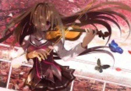 Usami Haru - butterfly, girl, usami haru, anime, violin