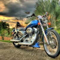 HARLEY DAVIDSON
