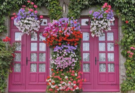 Lovely Pink Doors - entryway, double doors, flowers, pink