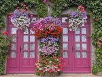 Lovely Pink Doors