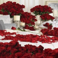 Bed of Roses